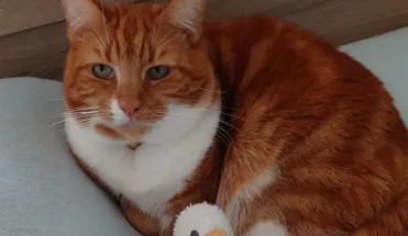 We stock a wide range of products, for every season and we are always aadding to our cataloge of products.
If you can't see what you are looking for please let us know.
All our producta ars very competitive priced and we can deliver your order of farm or pet veterinary supplies directly to your door to save you time and money.